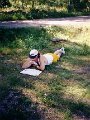 Red_Roosters_(12)
