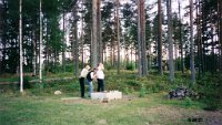 Red_Roosters_(7)