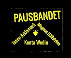 Wacka Kings & PausBandet (11)