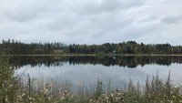 Wacka Kings & PausBandet (33)